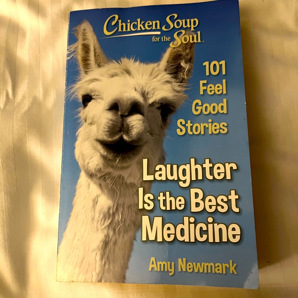 Chicken soup for the soul book